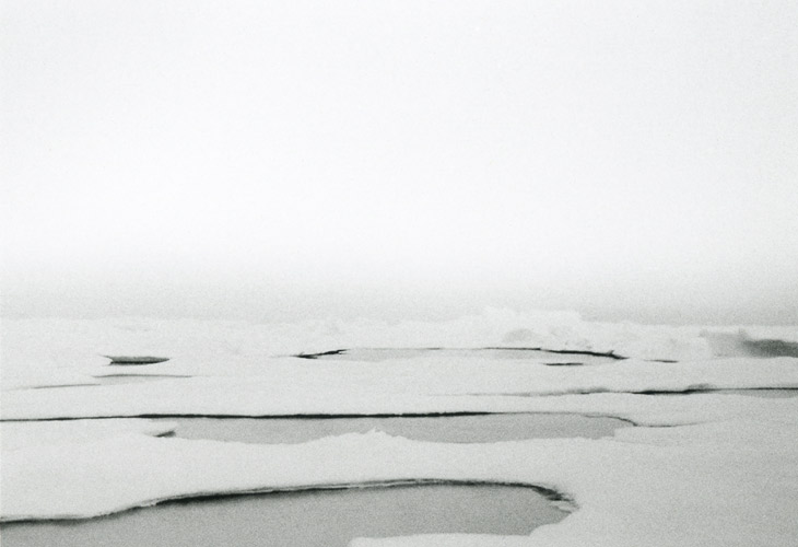 Sean McFarland, Pack Ice (detail), 2011