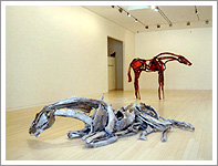DEBORAH BUTTERFIELD : Habitat