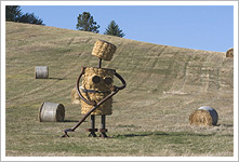 Tom Otterness sculptures placed in the wheat fields near WSU