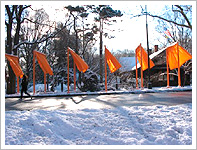 Christo and Jeanne-Claude, The Gates, Photo: Gary Faigin